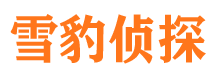 全州市私家侦探